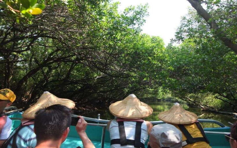 Tainan: Sicao Green Tunnel Scenic Boat Ride - Who Should Consider This Tour?