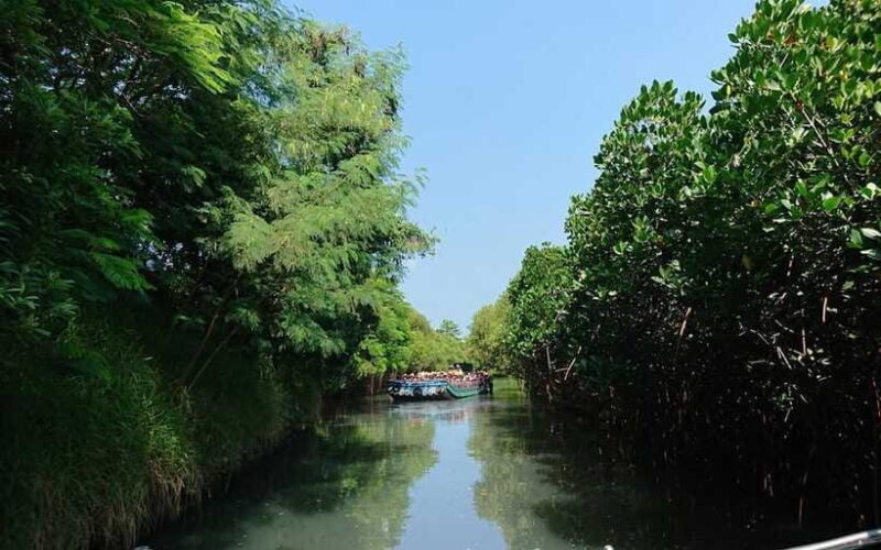 Tainan: Sicao Green Tunnel Scenic Boat Ride - Final Thoughts