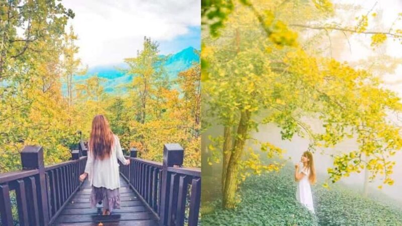 Taipei: 5-Day Tour of Taiwans Highlights - A Well-Designed 5-Day Journey through Taiwan