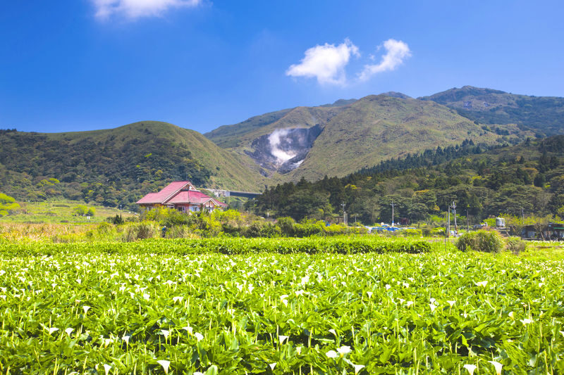 Taipei: Beitou Hot Spring and Yangmingshan Nature Day Tour - A few practical details before you go