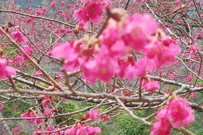 Taipei City to Taoyuan Airport Private Transfer - Pricing and Value