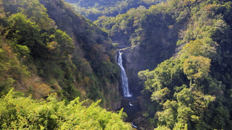 Taipei: Daxi Old Street and Tea Factory, Xiaowulai Day Tour - Exploring Daxi Old Street and Tea Factory