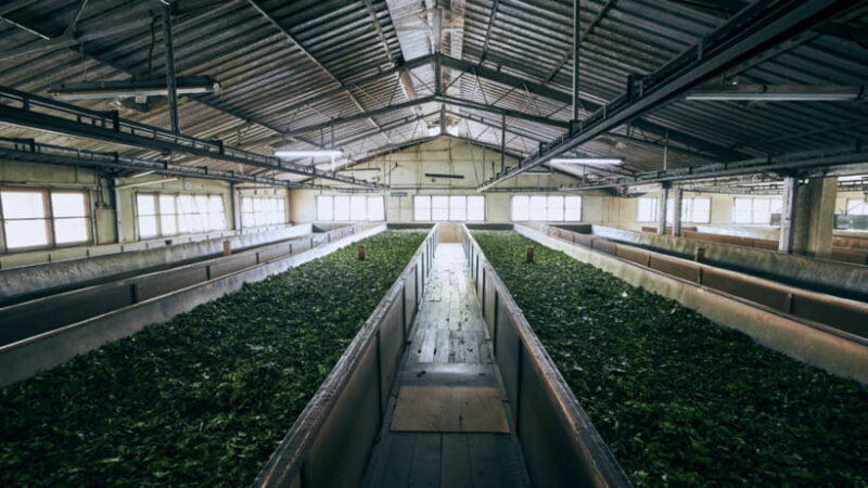 Taipei: Daxi Old Street and Tea Factory, Xiaowulai Day Tour - The Cultural and Culinary Touch: Tea Tasting & Old Street