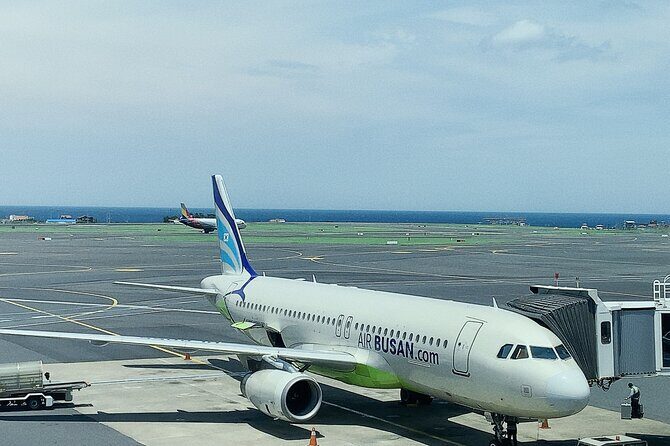 Taipei Layover City Highlights Tour with Pickup - Experience the Taipei Layover City Highlights Tour with Pickup