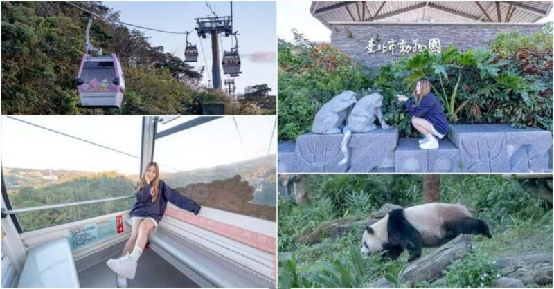 Taipei: Maokong Gondola, Zoo, and Keelung Day Trip - Good To Know