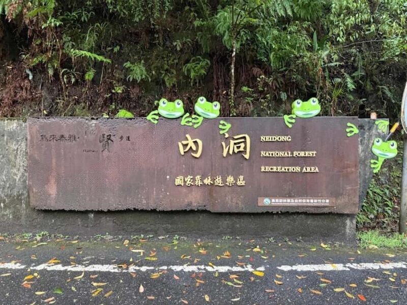 Taipei: Neidong Forest, Luxury Hot Spring & Bitan Boat Ride - Good To Know