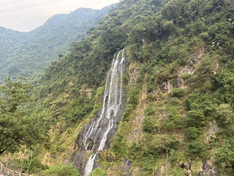 Taipei: Neidong Forest, Luxury Hot Spring & Bitan Boat Ride - Wulai Old Street: A Taste of Local Culture