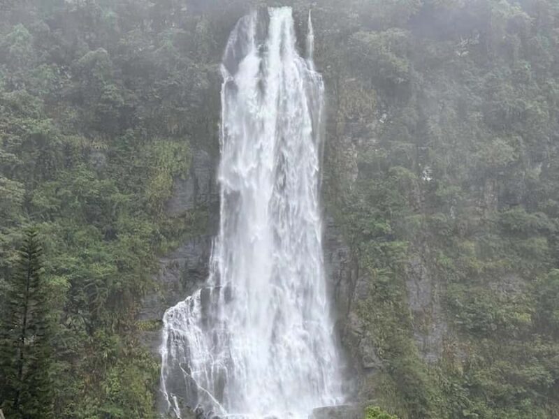Taipei: Neidong Forest, Luxury Hot Spring & Bitan Boat Ride - An In-Depth Look at the Tour Experience