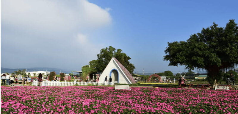Taipei-Taichung-Taipei Private day trip - Rainbow Village: A Burst of Color and Creativity
