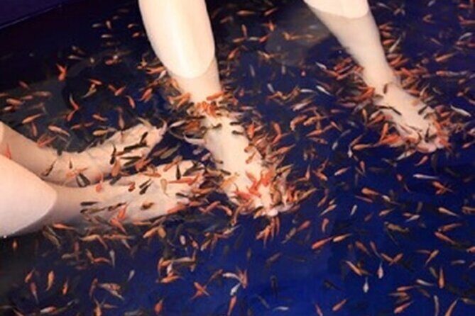 Taipei to Hualien Taroko Gorge and Yilan Jiaoxi Hot Spring Tour - The Sum Up