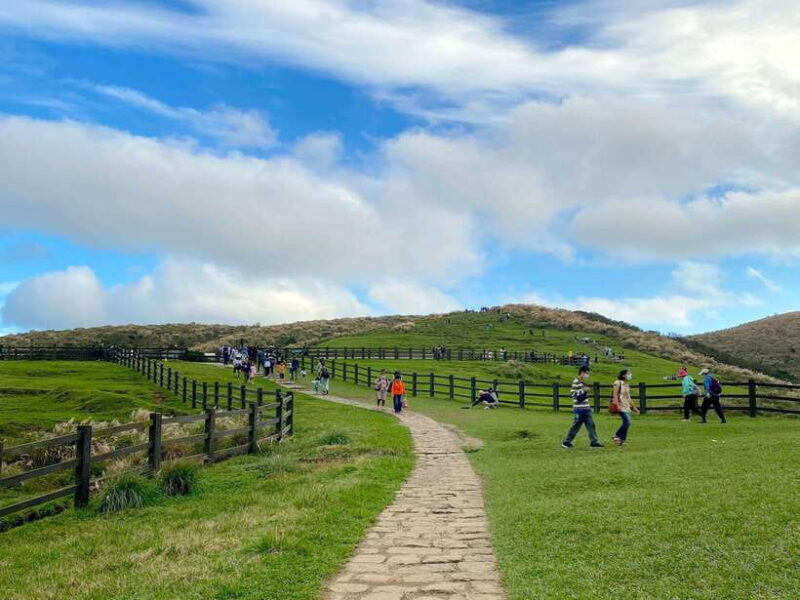 Taipei: Yangmingshan & Beitou Full-Day Tour - Authentic Experiences from Reviews