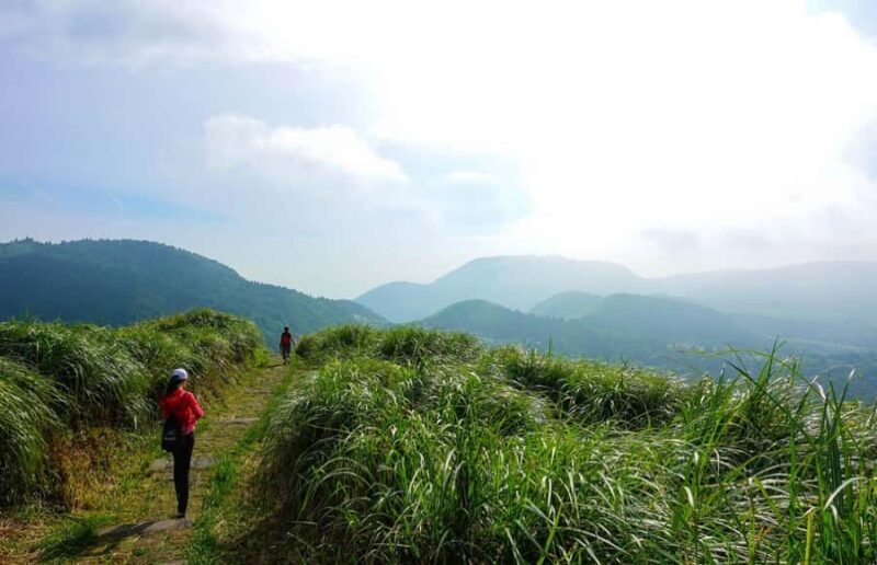 Taipei: Yangmingshan National Park Hiking Day Tour - Value and Pricing Analysis