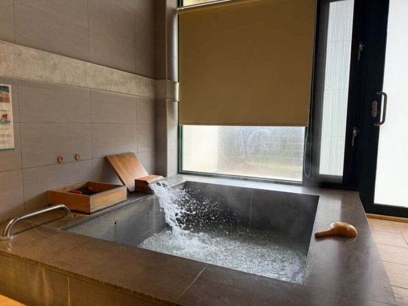 Taipei: Yangmingshan, Palace Museum & Shilin Night Market - Practical Details and Insights