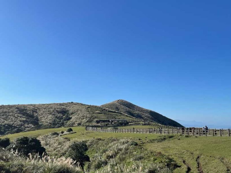 Taipei: Yanmingshan walking tour - Qingtiangang Grassland - Who Is This Tour Best Suited For?