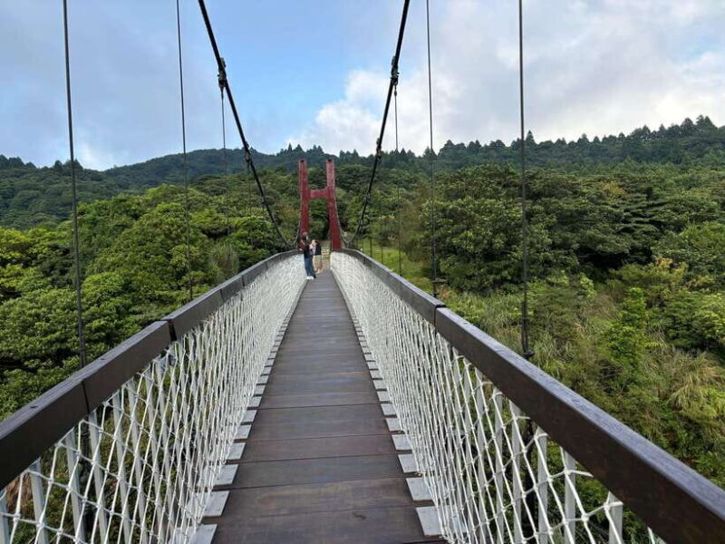 Taipei: Yanmingshan walking tour - Qingtiangang Grassland - What Makes This Tour Good Value?