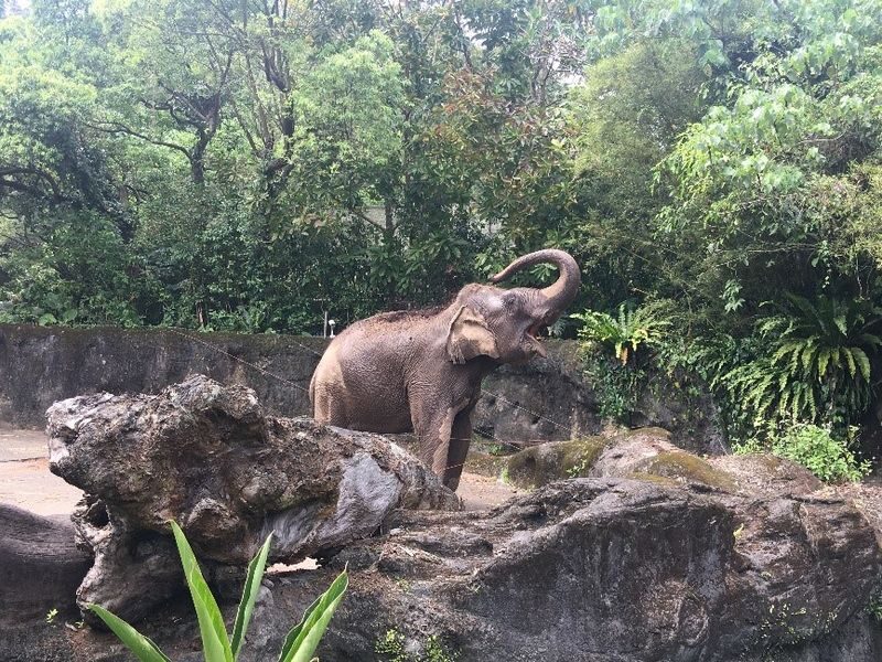 Taipei Zoo Ticket - Know the rules before you enter