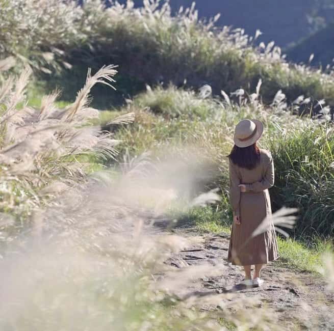 Taipei's Backyard - Yangmingshan National Park Day Tour - Good To Know