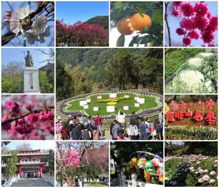 Taipei's Backyard - Yangmingshan National Park Day Tour - Why This Tour Stands Out