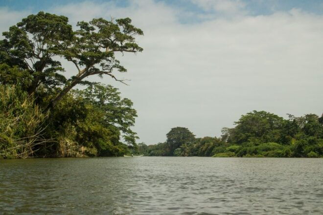 Taironaka: Ruins and Tubing at Don Diego River - Sierra Nevada Jungle Hike