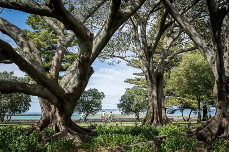 Tairwhiti Gisborne: Guided City Bike Tour - Exploring Gisborne on Two Wheels: A Practical Review of the Guided City Bike Tour