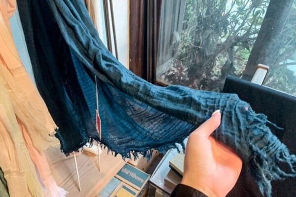 Taisho Era Folk House Unique Indigo Dyeing for All Ages - Accessibility Features of the Workshop