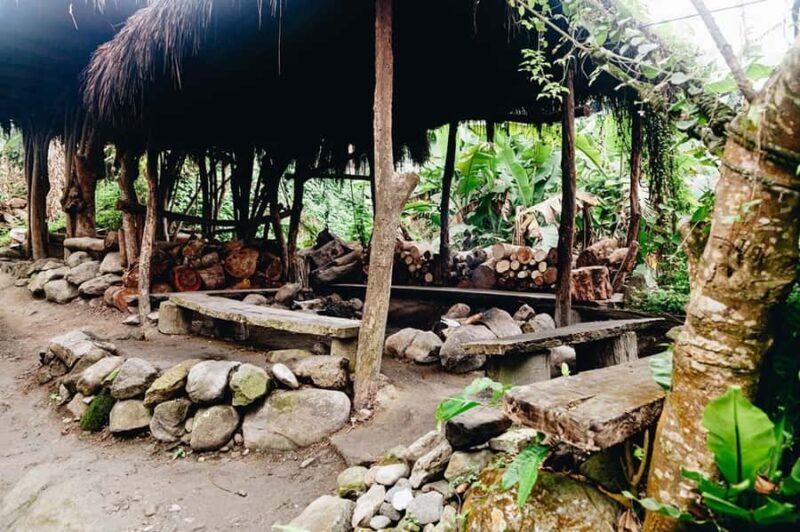 Taitung: Luan Mountain Forest Museum Guided Tour - Good To Know