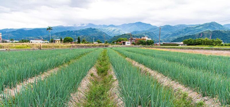 Taiwan: 10-Day Private Island Tour with 4-Star Hotels - What Does This Tour Offer for Travelers?