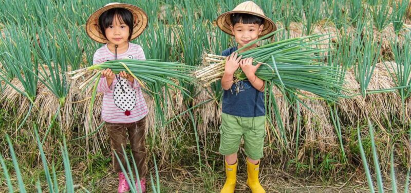 Taiwan: 10-Day Private Island Tour with 4-Star Hotels - Why This Tour Offers Excellent Value