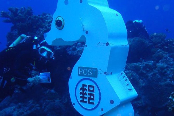Taiwan Green Island Discovery Inner Space Experience Diving - Explore the Vibrant Coral Reefs