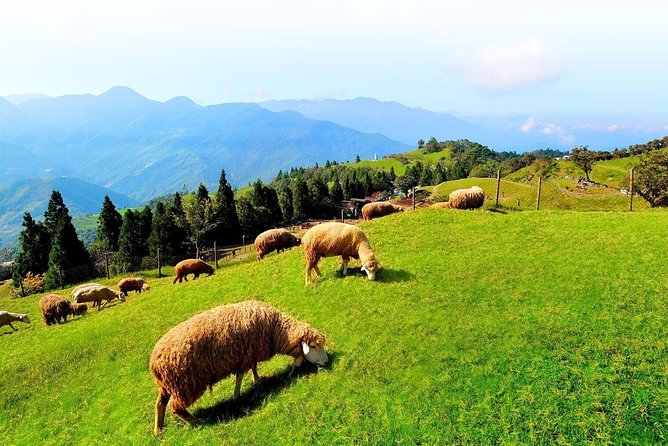 Taiwan Multi-Day Classic Tour - Meals