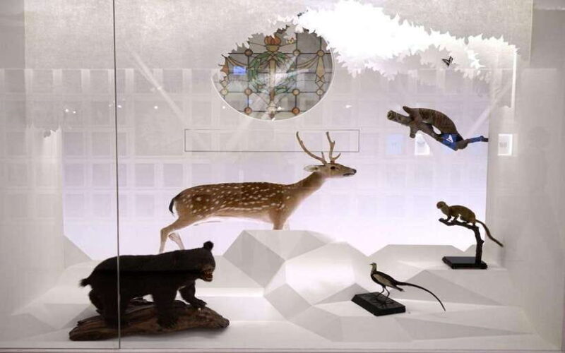 Taiwan Museum, MOCA Taipei & Miniatures Museum Entry Tickets - Final Thoughts