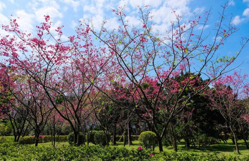 Taiwan Taipei: 8-Hour Customized Taipei City Exploration! - Final Thoughts