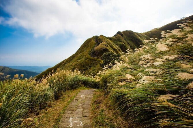 Taiwan TST : Private Tour Taipei, Yangmingshan, Beitou, Tamsui - What to Expect from the Tour