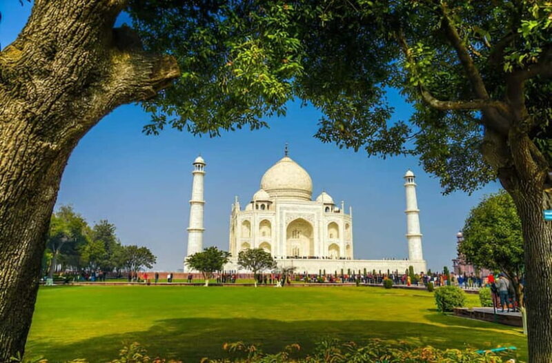 Taj Mahal, Agra Fort & Elephant Conservation Tour from Delhi - Evaluating the Price and Overall Value