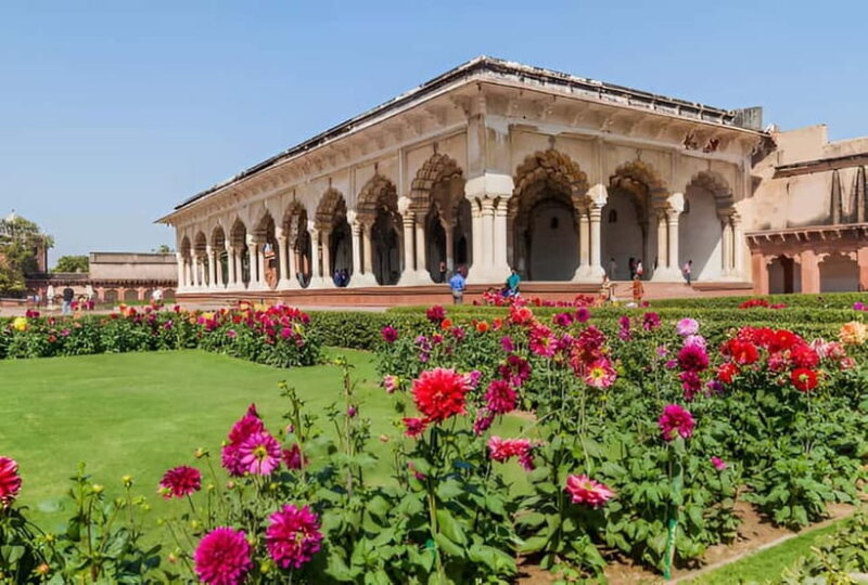 Taj Mahal, Agra Fort & Elephant Conservation Tour from Delhi - Lunch Break & Local Flavors  