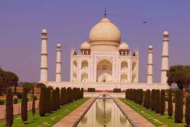 Taj Mahal, Agra Fort,Akbars Tomb & Baby Taj Day Trip From Delhi - Reviews Overview