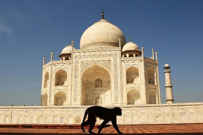 Taj Mahal and Agra Day-Trip From Delhi by Express Train - Directions and Itinerary