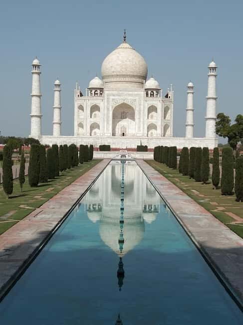Taj Mahal and SOS Sanctuary: A Memorable Day from Delhi - Who This Tour Suits Best