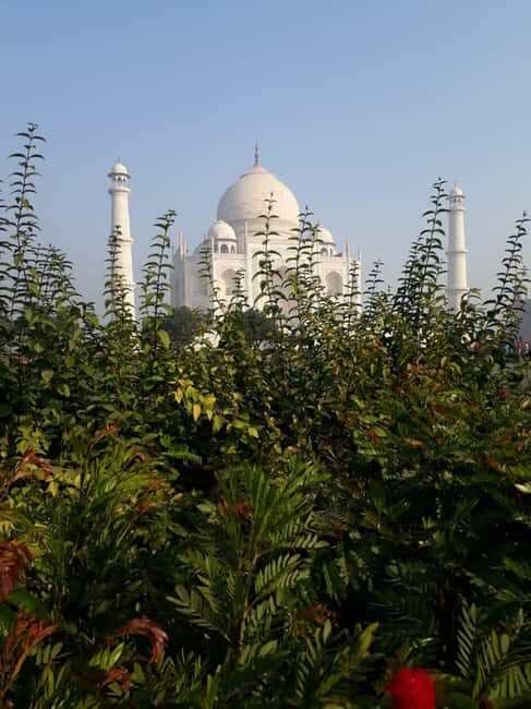 Taj Mahal and SOS Sanctuary: A Memorable Day from Delhi - Why This Tour Is Worth It