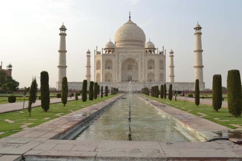 Taj Mahal and SOS Sanctuary: A Memorable Day from Delhi - Who Would Love This Tour?