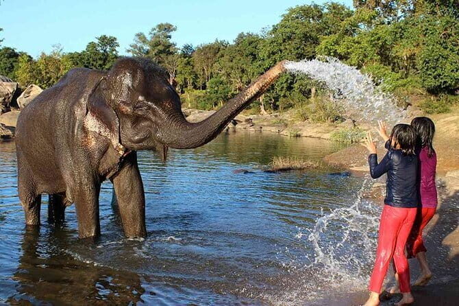 Taj Mahal Day Tour with Akbar Tomb from Delhi by Superfast Train - Who Should Consider This Tour?