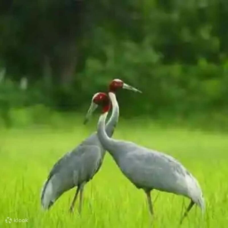 Taj Mahal & Elephant SOS Overnight Tour From Delhi Overnight - Final Words