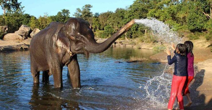 Taj Mahal Sunrise Tour With Elephant Conservation From Delhi - Good To Know