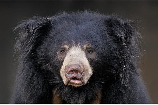 Taj Mahal Tour by Locals - Authentic Cuisine