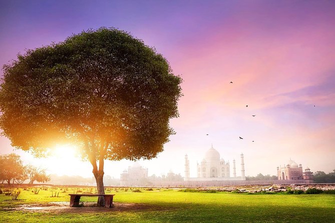 Tajmahal Overnight Tour From Delhi - Customer Reviews