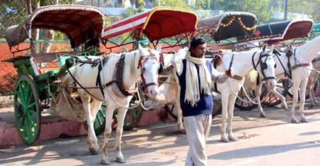 Tajmahal Tour With Tuktuk,Camel & Horse Cart - Cancellation Policy Details