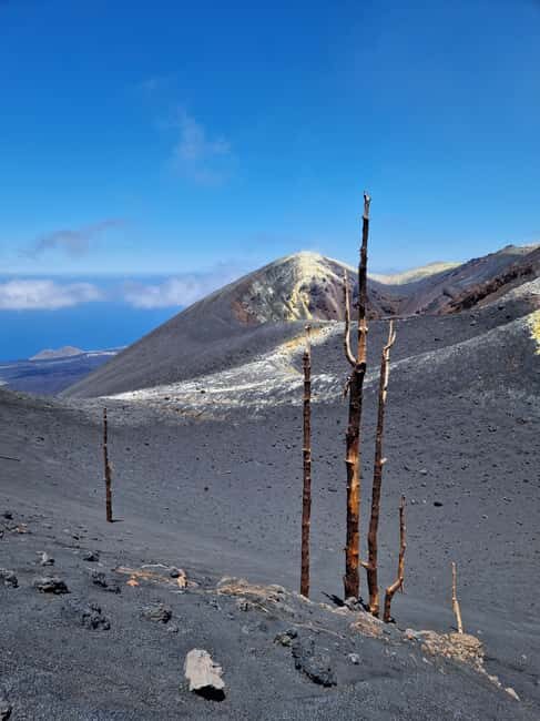Tajogaite Volcano: the official route with a certified local guide - The Sum Up