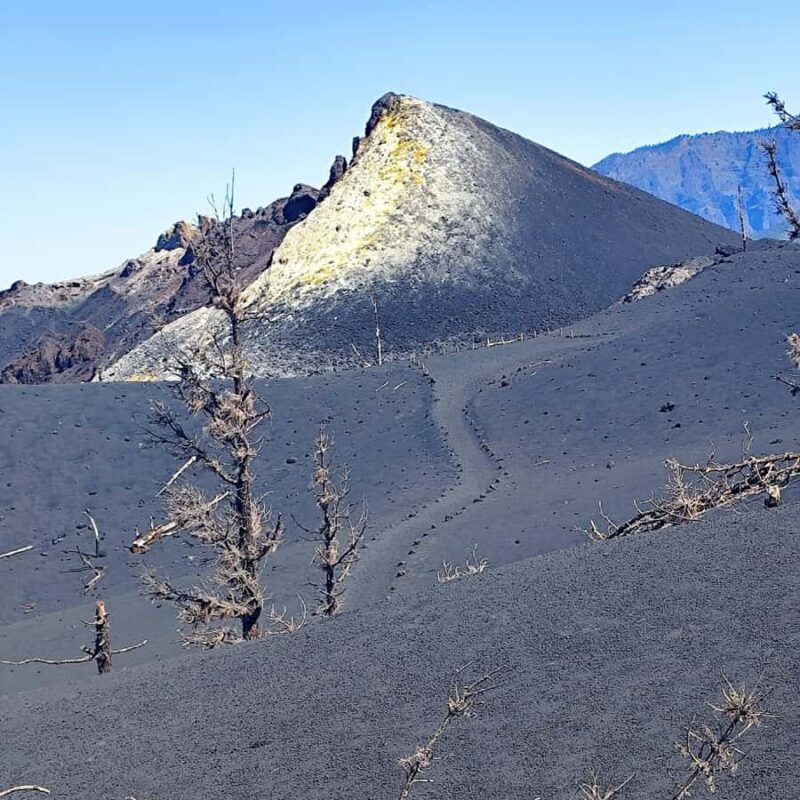 Tajogaite Volcano VIP Experience: Private Tour with Certified Guide - The Experience in Detail: What You Can Expect