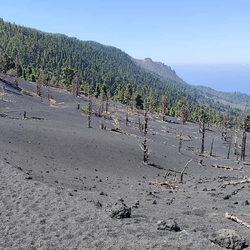 Tajogaite Volcano VIP Experience: Private Tour with Certified Guide - The Sum Up