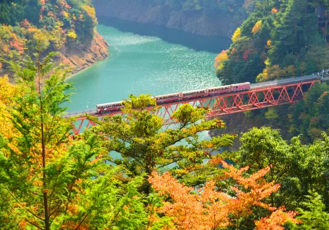 Takachiho Gorge and Scenic Train Day Trip (including boat ride experience) - Expect a long bus day with a carefully managed schedule